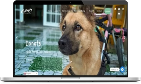 PAWS WEB