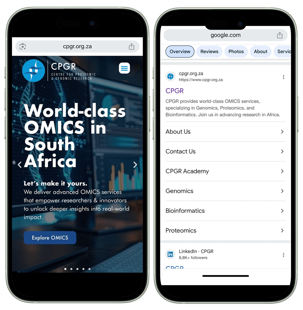 Global SEO